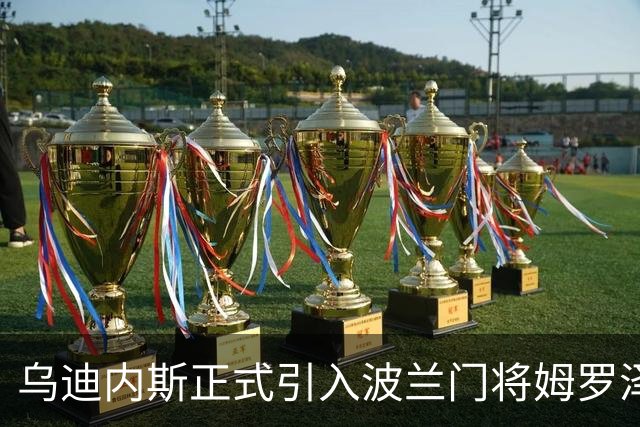 乌迪内斯正式引入波兰门将姆罗泽克，签约至2030年